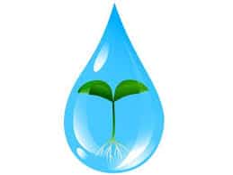 کیفیت آب برای رشد گیاهان 