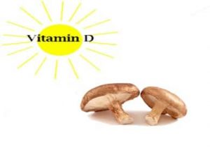 ویتامین D در قارچ 