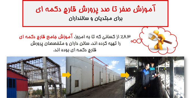 آموزش صفر تا صد پرورش قارچ دکمه ای